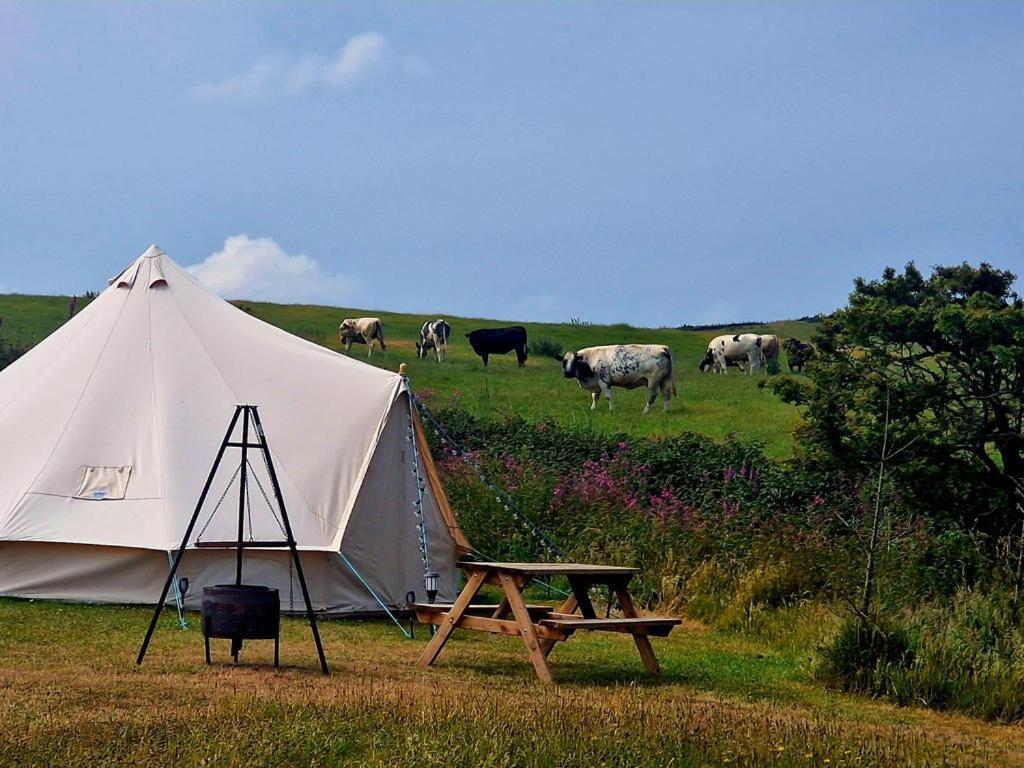 Beautiful 1-Bed Bell Tent In Holyhead Bagian luar foto